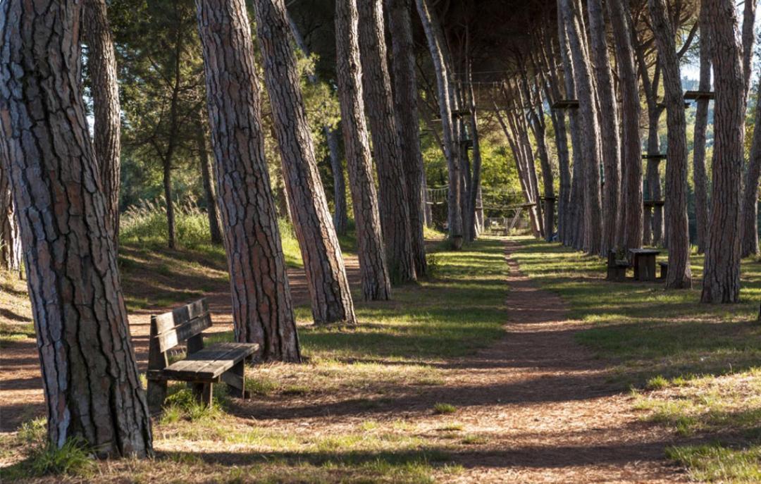 Alloggio Turistico Puccini เปรูจา ภายนอก รูปภาพ